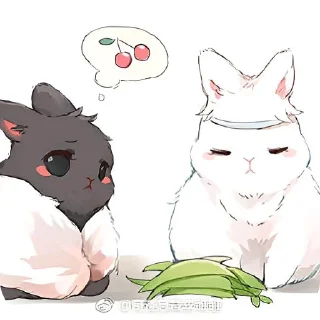 🐱