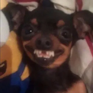 😬