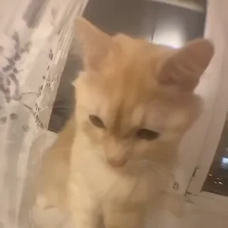 😡