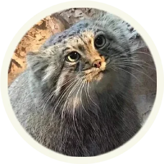 😕
