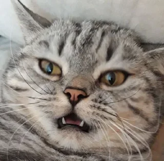 😦