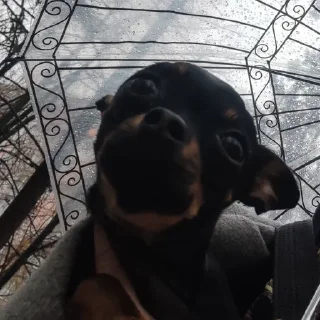 ☂️