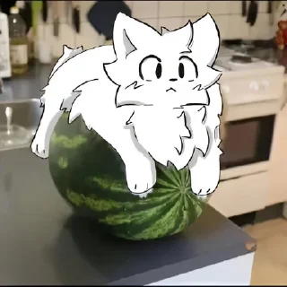 🍉