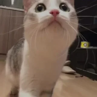 🤭