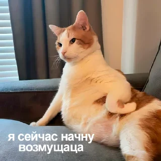 🤨