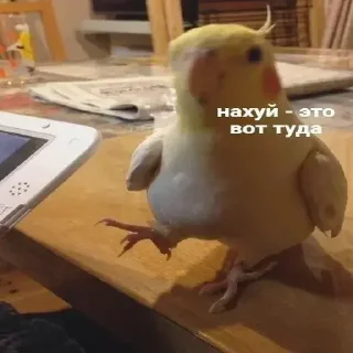 👈