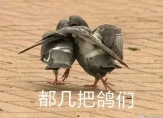 😂