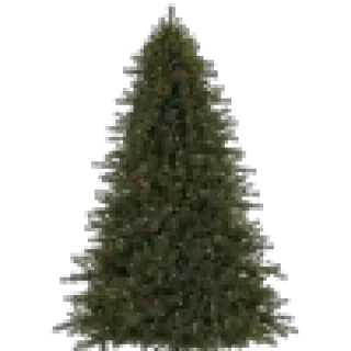 🎄