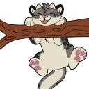 😺