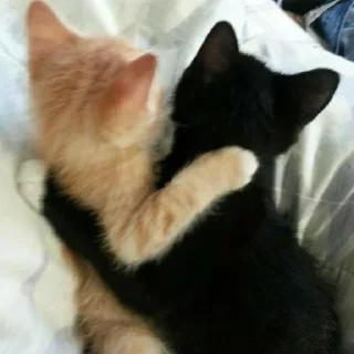 💗