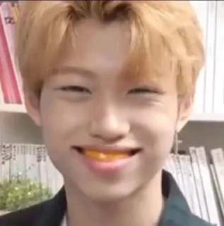 Stray Kids