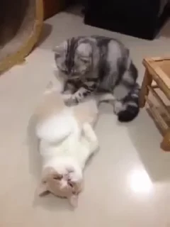 💆‍♀