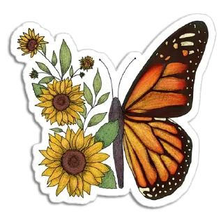 🦋