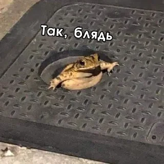 👿