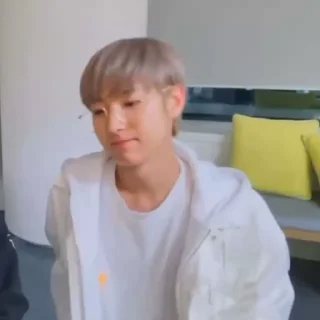 🦊