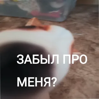 🤨