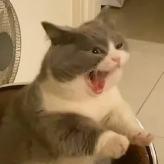 😡