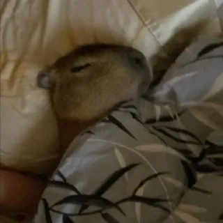 😔