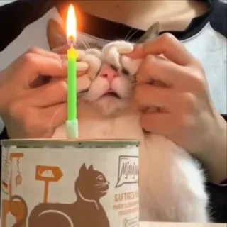 🥳