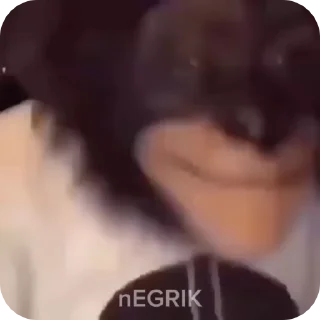 🌟