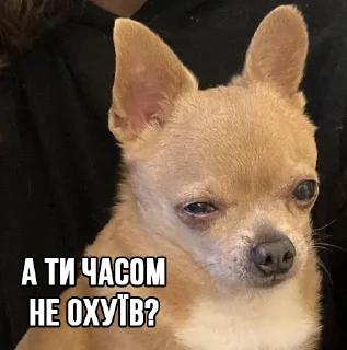 😒