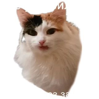 😐