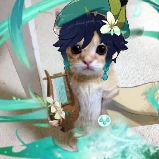 🌟