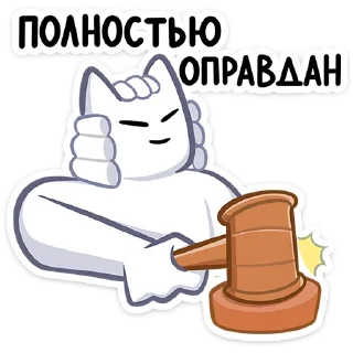 👩‍⚖️
