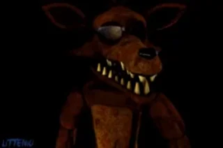 🦊