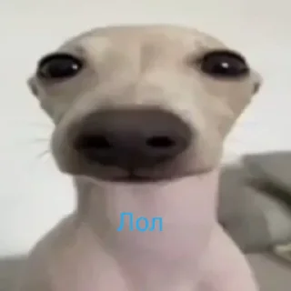😄