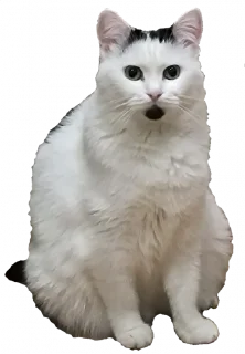 🫥