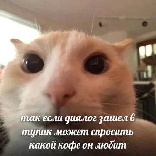 💀