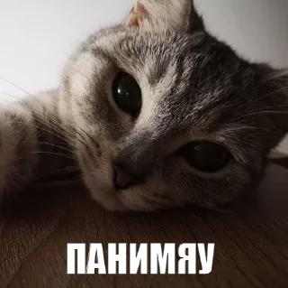 😌