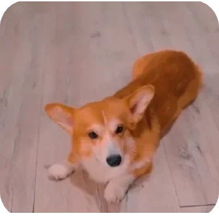 👍