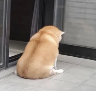☹️