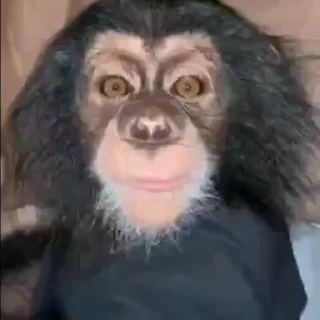 😊