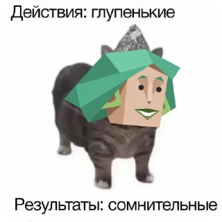 🐱