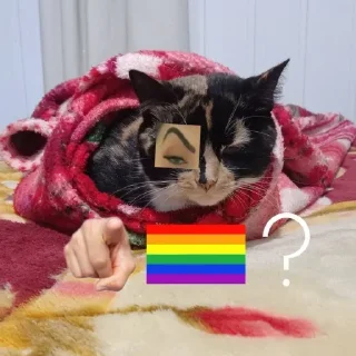 🏳️‍🌈