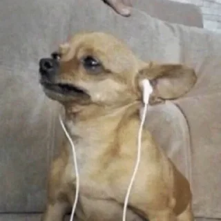🎧