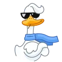 😎