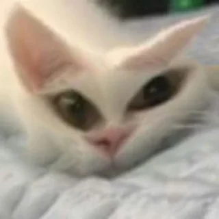 😒