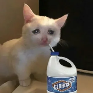 🥺