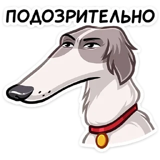 🤨