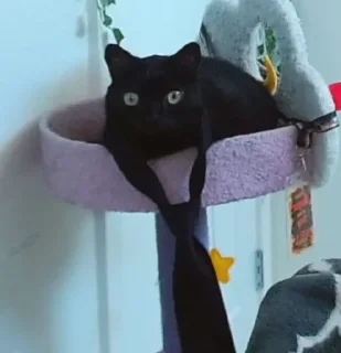 👔
