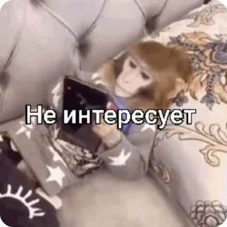 ⏭