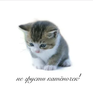 😭