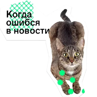 😠