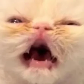 😱