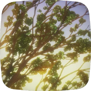 🍃