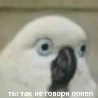 Я орал, меня ловили